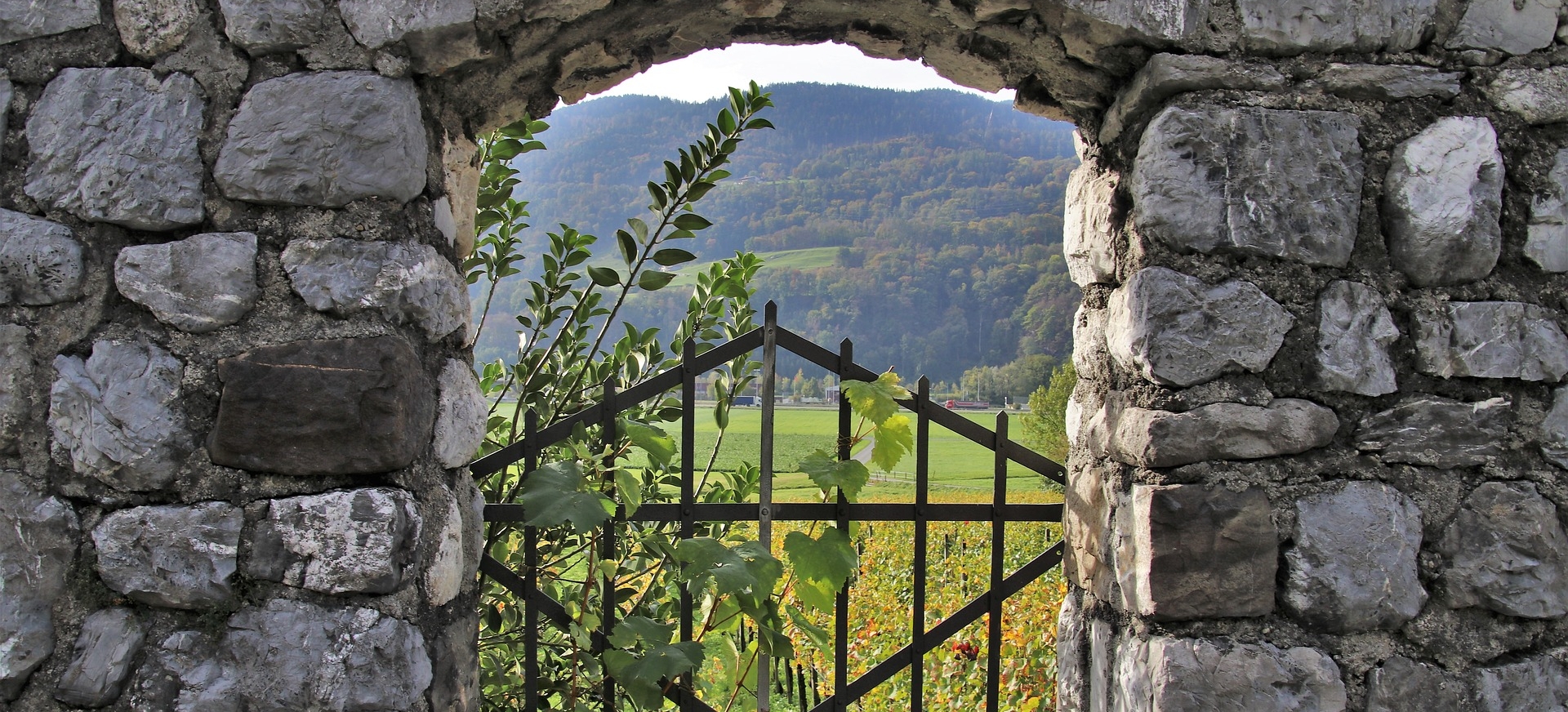 Les incontournables du vignoble