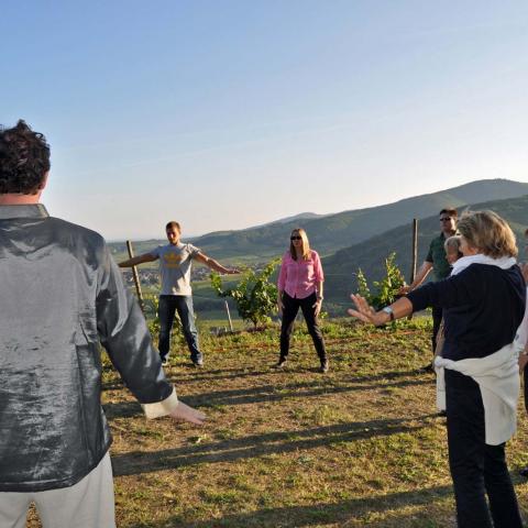 Philippe Blanck bietet einen Qi Gong-Kurs an, mitten in seinen Weinbergen in Kientzheim.