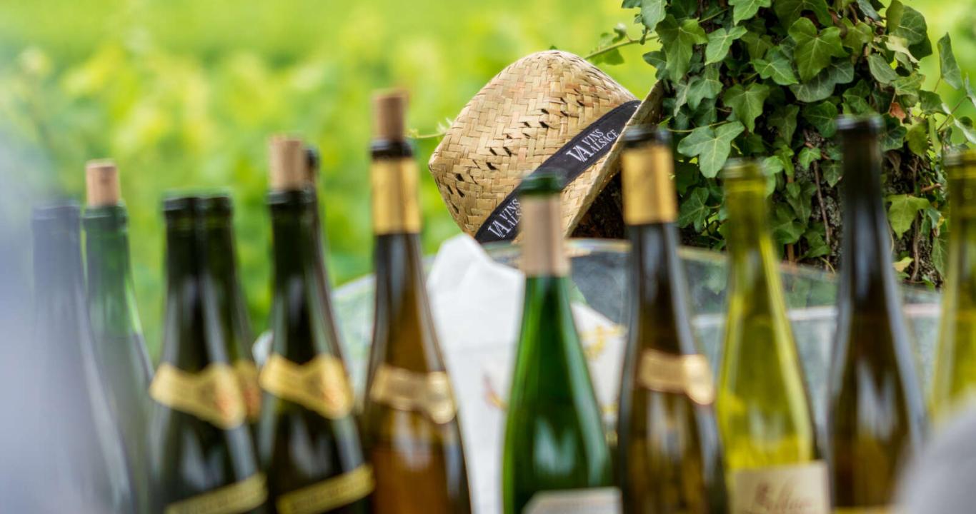 Tournée des Terroirs 2024 à Kaysersberg © CIVA