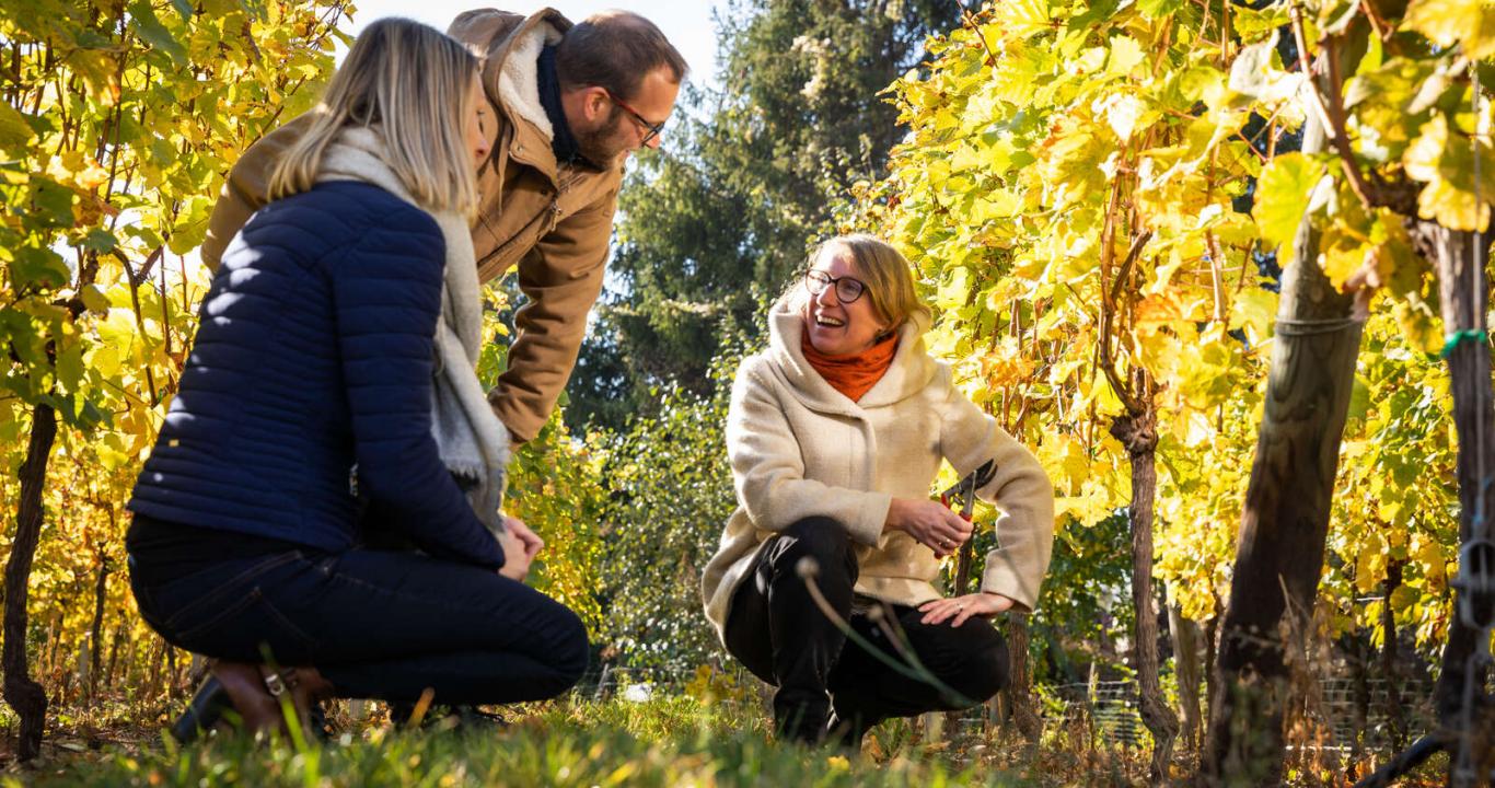 A wine and cheese tasting in the winemaker's private cellar