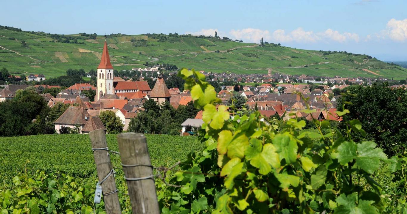 Ammerschwihr, im Herzen der Weinberge