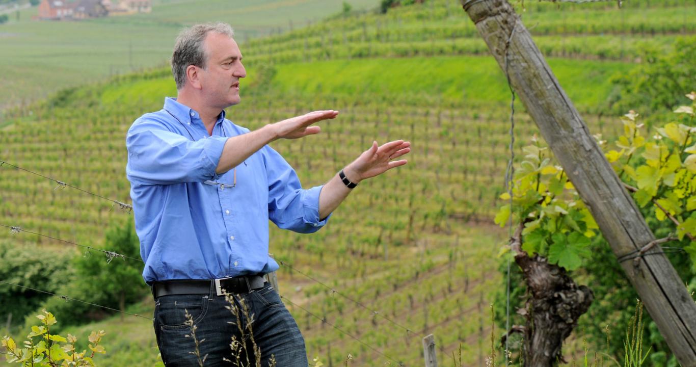 In the vineyard with Jean Baptiste Adam, winemaker