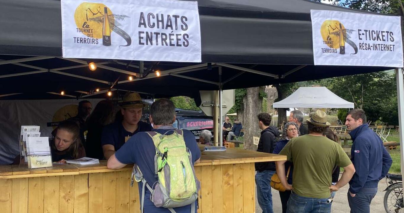 Dégustation des vins Grands Crus d'Alsace