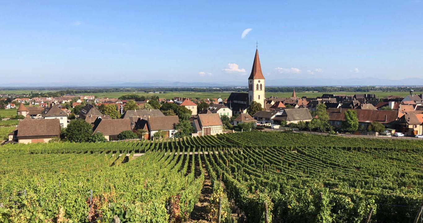La tournée des terroirs Alsace Rocks à Ammerschwihr