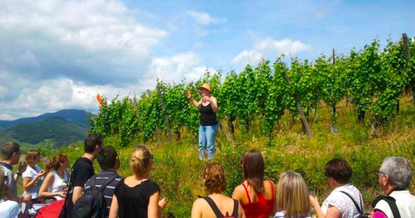 Rien de mieux que de se rendre sur le terrain, dans les vignes !