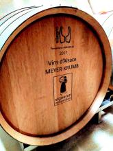 Foudre en bois au Domaine Meyer-Krumb à Sigolsheim