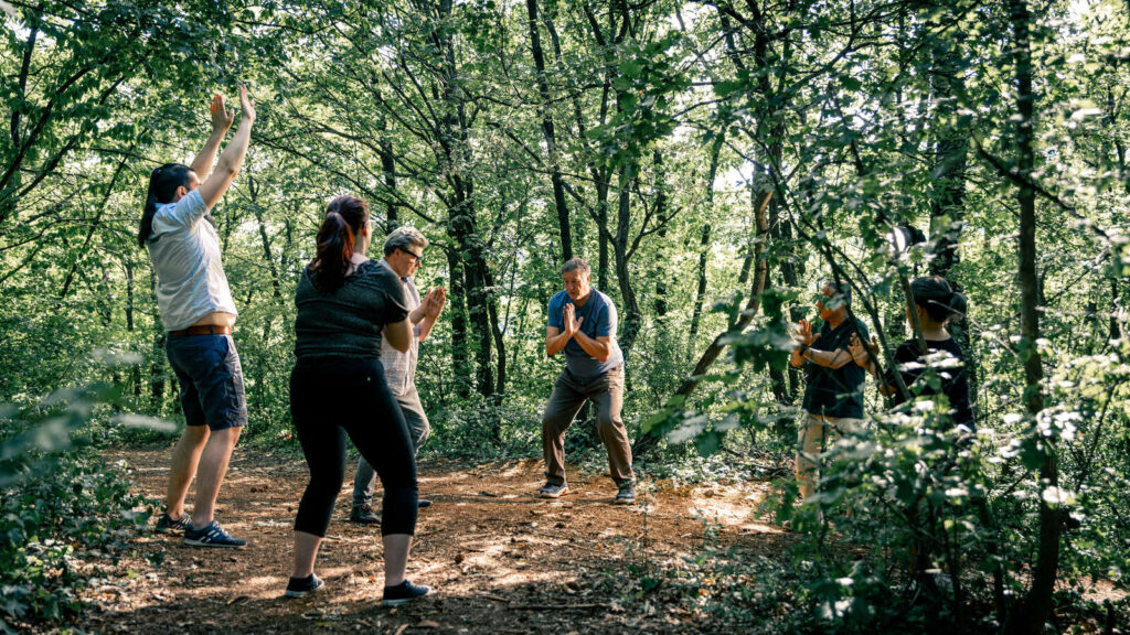 Séance de Qi Gong Alsace Philippe Blanck Kientzheim vignoble