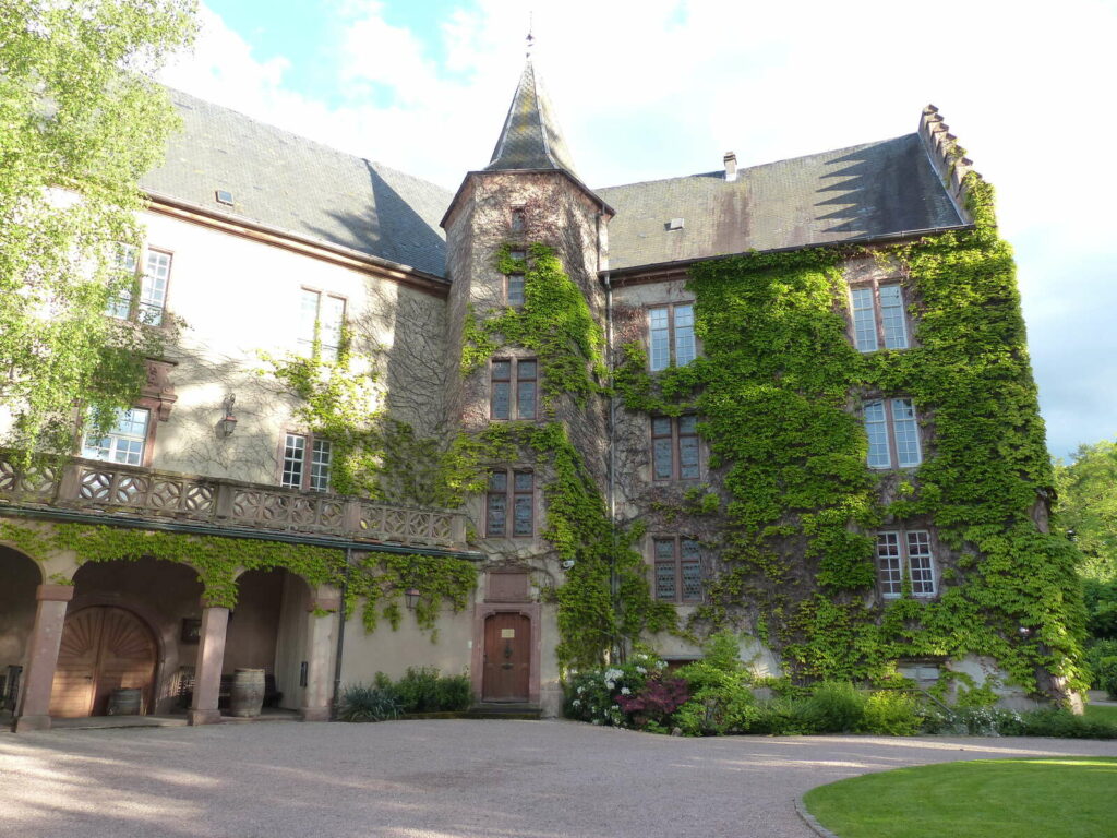 la Confrérie Saint Etienne à Kientzheim