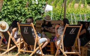 Tournée des Terroirs 2024 à Kaysersberg © CIVA Tournée des Terroirs 2024 à Kaysersberg © CIVA