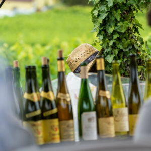 Tournée des Terroirs 2024 à Kaysersberg © CIVA Tournée des Terroirs 2024 à Kaysersberg © CIVA