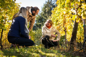 A wine and cheese tasting in the winemaker's private cellar