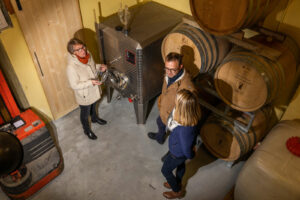 Visitez la cave du domaine familial avec Aurélie, la vigneronne Visitez la cave du domaine familial avec Aurélie, la vigneronne