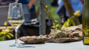Tournée des Terroirs 2024 à Kaysersberg © CIVA Tournée des Terroirs 2024 à Kaysersberg © CIVA