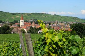 Ammerschwihr au coeur des vignes Ammerschwihr au coeur des vignes