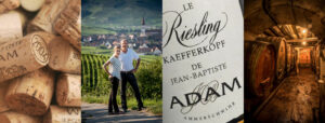 Elsässer Wine Jean-Baptiste Adam