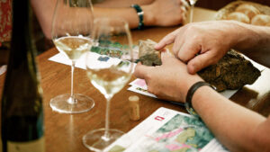 L’explication des terroirs des grands crus d’Alsace au domaine Paul Blanck à Kientzheim L'explication des terroirs des grands crus d'Alsace au domaine Paul Blanck à Kientzheim