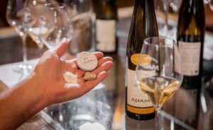 L'influence du sol sur les Grands Crus d'Alsace