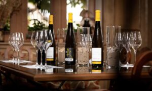 Eine Einladung zur Entdeckung des Weinbaugebiets, der Weinkultur und der Grands Crus des Elsass Eine Einladung zur Entdeckung des Weinbaugebiets, der Weinkultur und der Grands Crus des Elsass