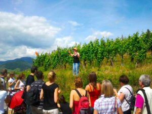 DOMAINE MEYER-KRUMB DOMAINE MEYER-KRUMB