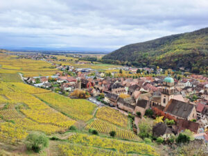 Kaysersberg vue du château en automne sur la Route des Vins d’Alsace Kaysersberg vue du château en automne Alsace