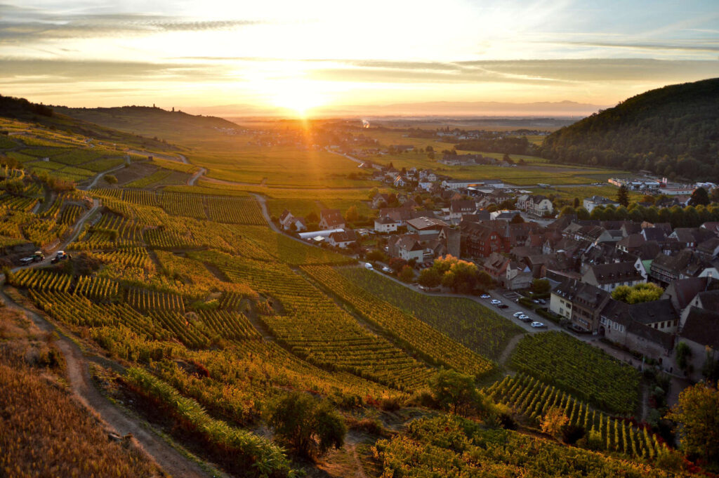 Coucher de soleil Kaysersberg Alsace Route des Vins Coucher de soleil vignoble de Kaysersberg en Alsace Route des Vins